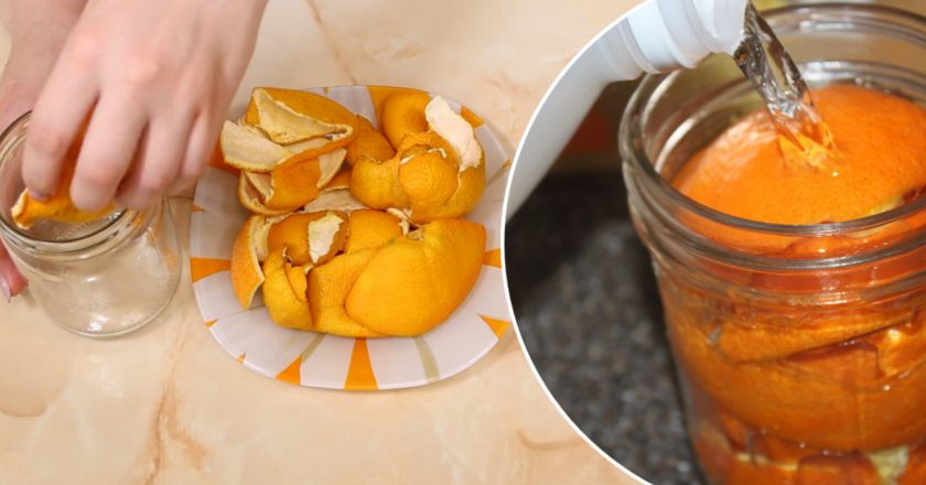Умные хозяйки апельсиновые корки не выбрасывают, а заливают уксусом