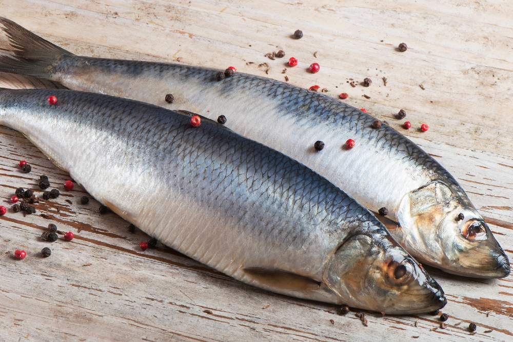 Как вкусно засолить рыбу: 5 рецептов обалденных маринадов